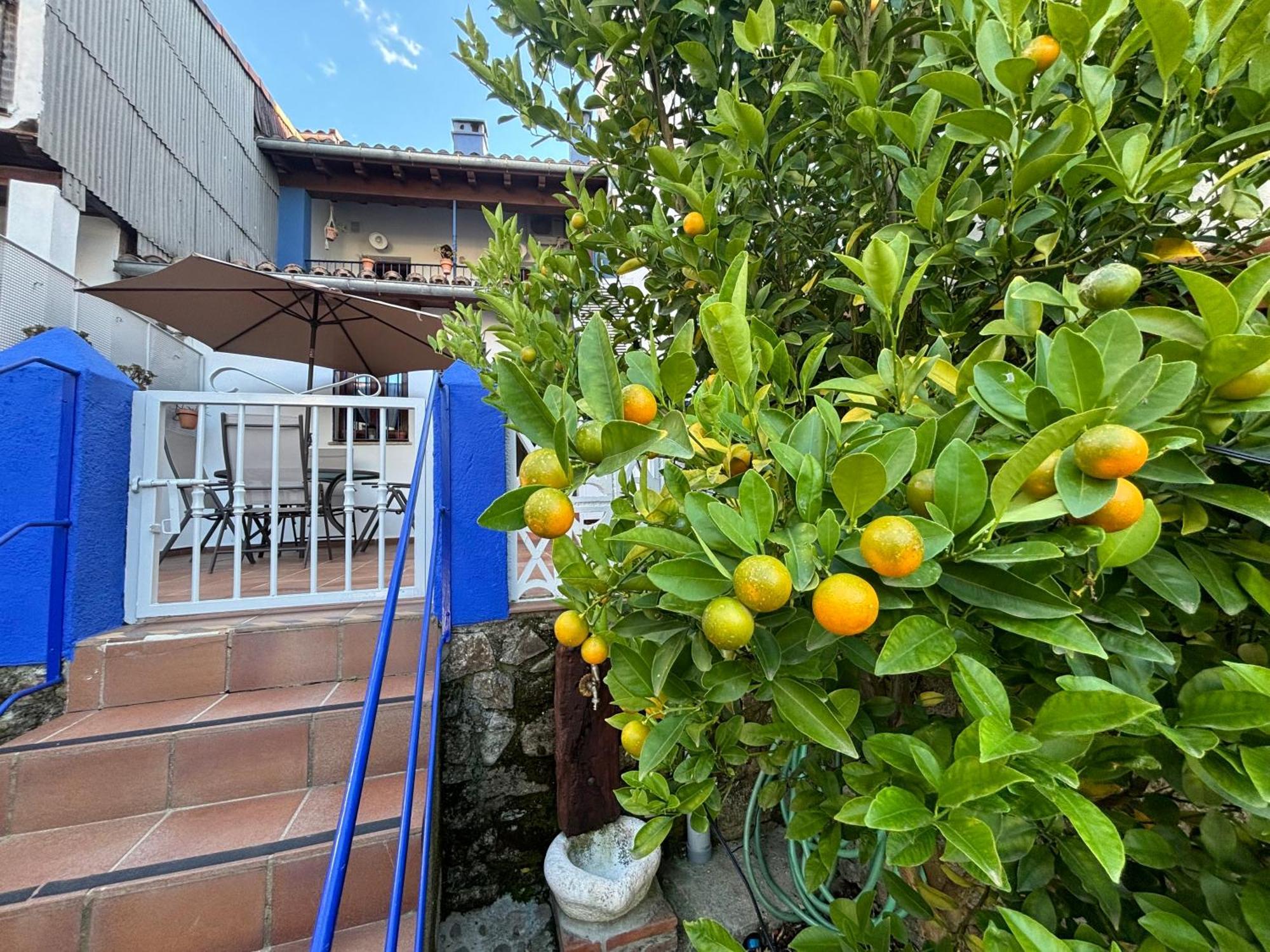 Alborada Apartamentos Rurales Hervás Kültér fotó